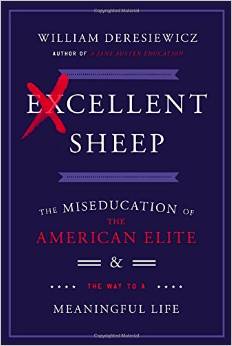 excellent sheep