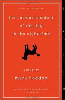 nighttime dog