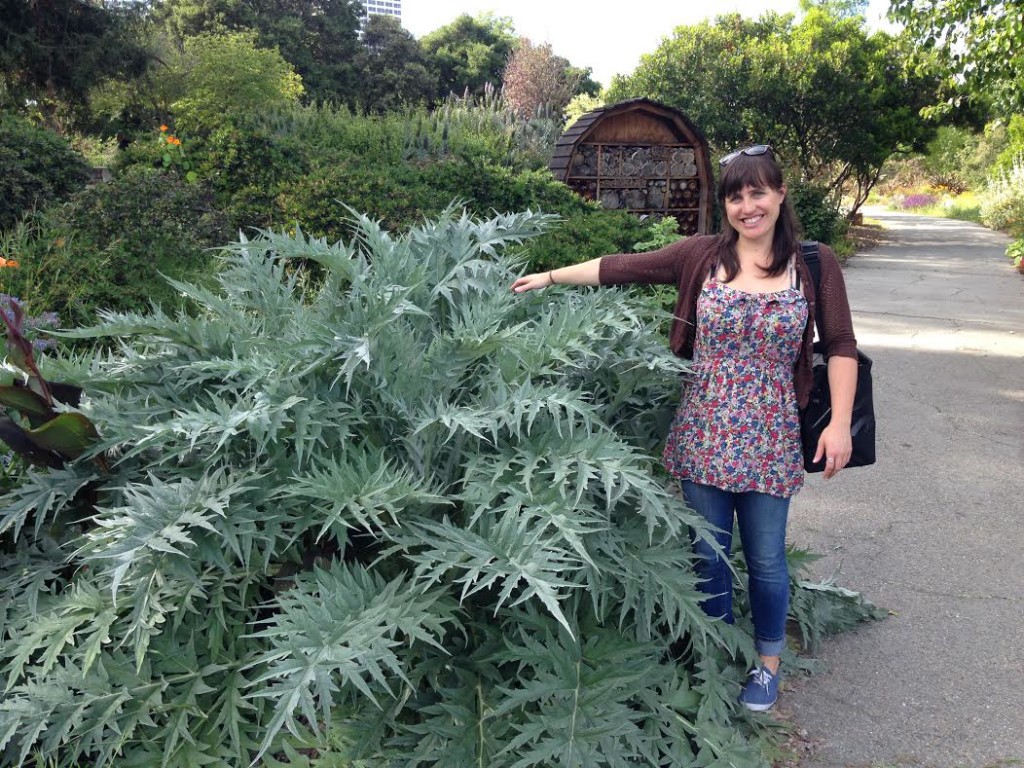Katie Brimm - artichoke